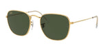 Lentes De Sol Rb Frank Rb3857n (Dorado-Verde G15)